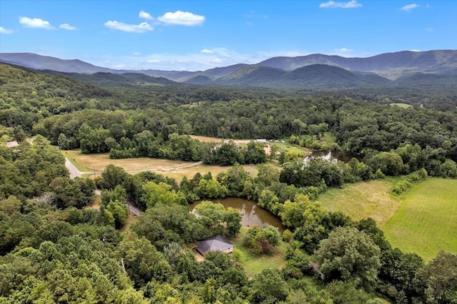 499 Crandall Ellijay Rd, Chatsworth, GA 30705 - photo 41