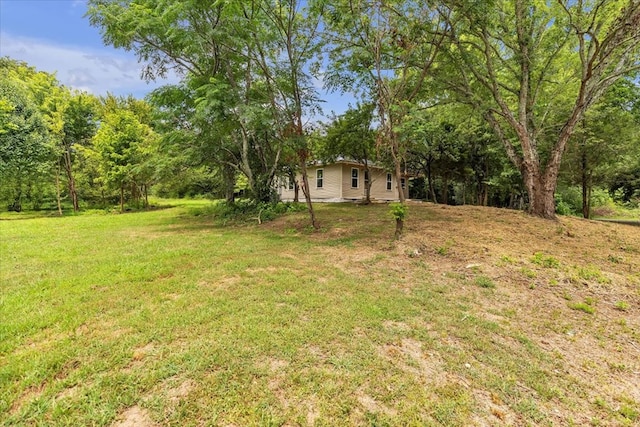 499 Crandall Ellijay Rd, Chatsworth, GA 30705 - photo 30