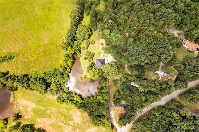 499 Crandall Ellijay Rd, Chatsworth, GA 30705 - photo 33