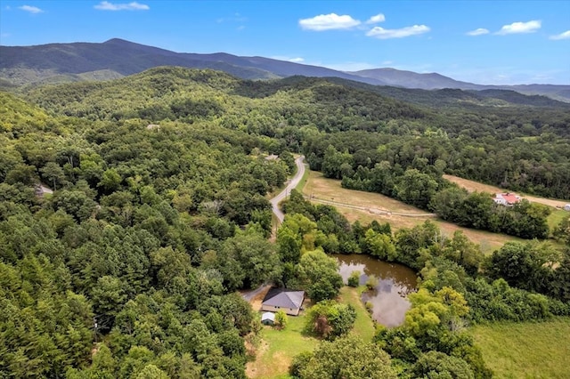 499 Crandall Ellijay Rd, Chatsworth, GA 30705 - photo 40