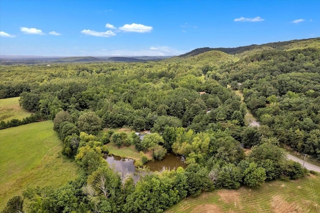 499 Crandall Ellijay Rd, Chatsworth, GA 30705 - photo 38