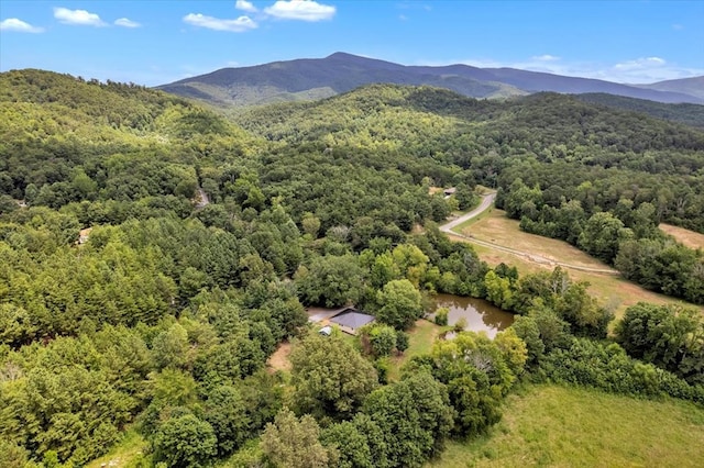499 Crandall Ellijay Rd, Chatsworth, GA 30705 - photo 39
