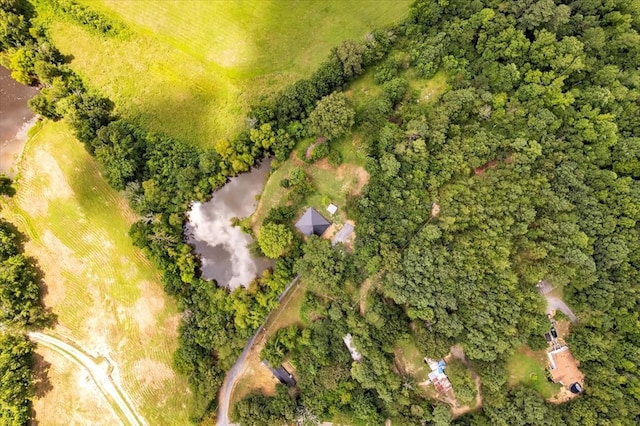 499 Crandall Ellijay Rd, Chatsworth, GA 30705 - photo 35
