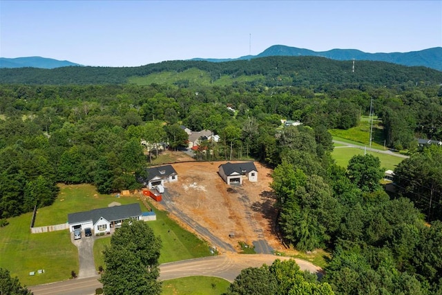 401 Earls Way, Chatsworth, GA 30705 - photo 4