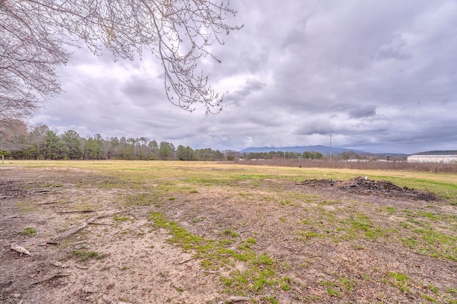 view of yard featuring a rural view