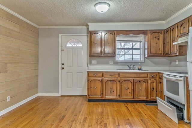 kitchen featuring brown cabinets, ornamental molding, light countertops, and light wood finished floors