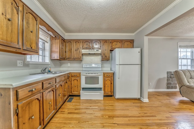 kitchen with light wood-style flooring, under cabinet range hood, a sink, white appliances, and brown cabinetry