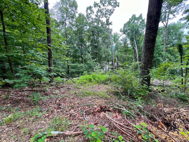 00 Shannon Dr, Dalton, GA 30720