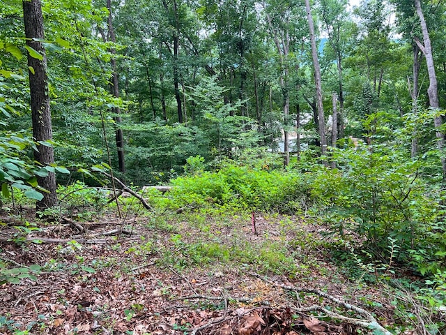 00 Shannon Dr, Dalton, GA 30720