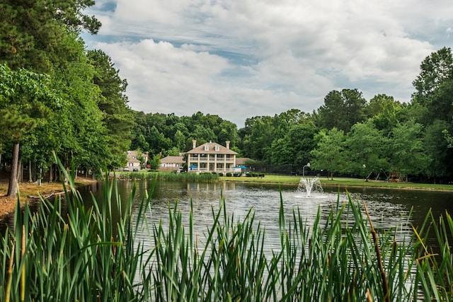 view of water feature