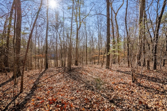 LOT42 Quarles Rd, Rocky Face, GA 30740