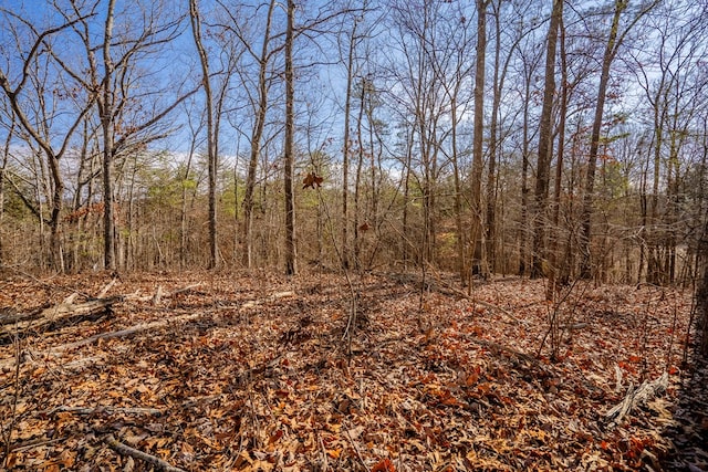 LOT42 Quarles Rd, Rocky Face, GA 30740
