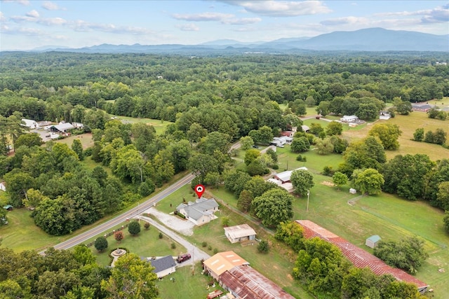 birds eye view of property featuring a mountain view