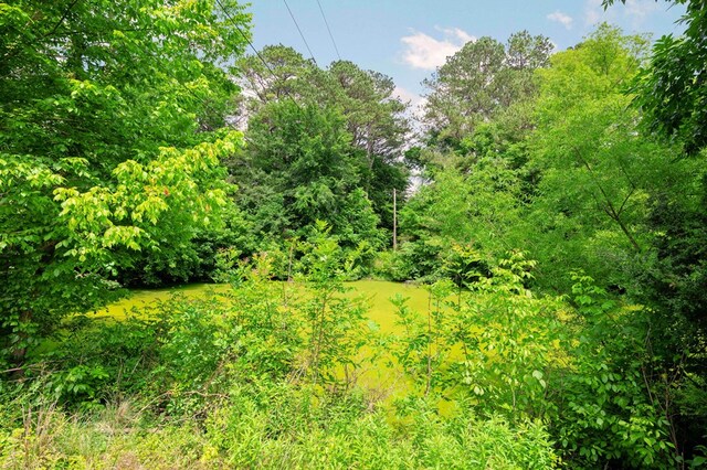 3414 Chattanooga Rd, Tunnel Hill, GA 30755 - view of nature