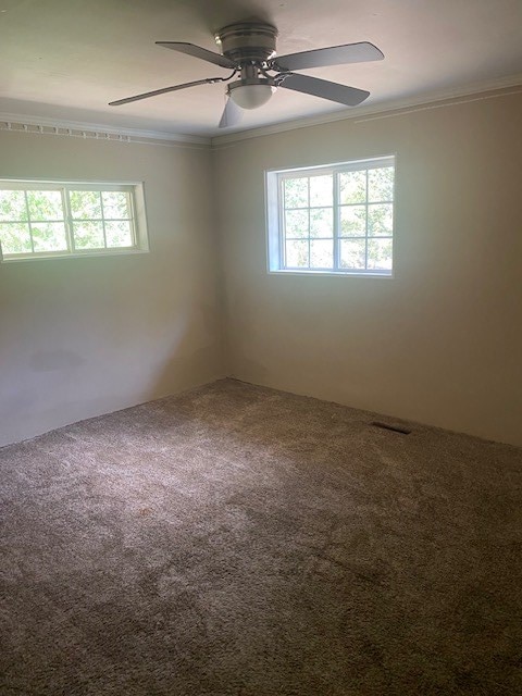 carpeted spare room featuring ornamental molding and ceiling fan