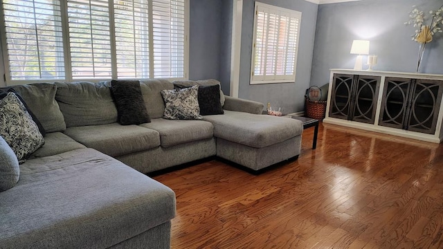 living room with wood finished floors and a healthy amount of sunlight