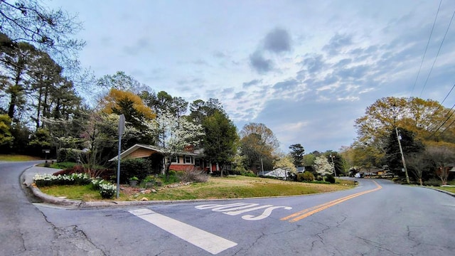 view of street with curbs