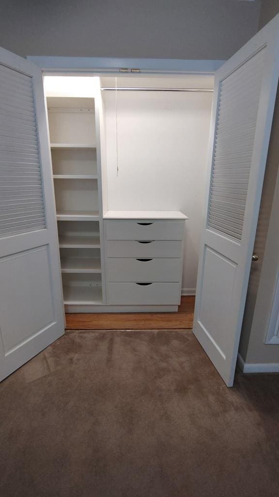 view of closet