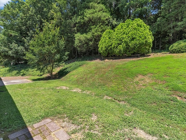 100 Tibbs Rd, Dalton, GA 30720 - view of grassy yard