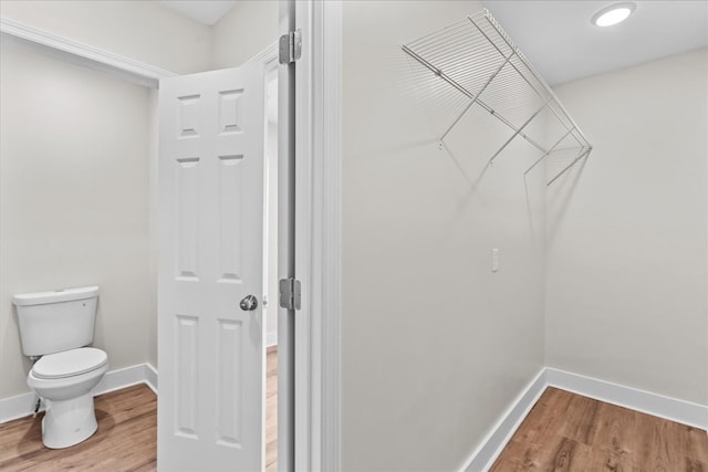 spacious closet featuring wood finished floors