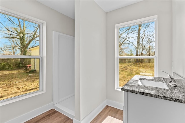 bathroom featuring plenty of natural light, wood finished floors, and baseboards