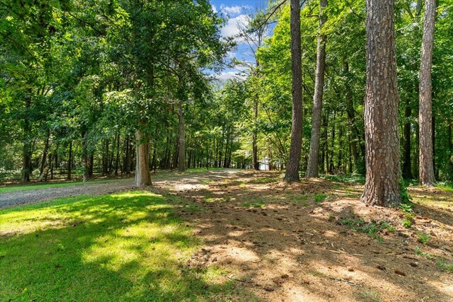 5008 Dianne Dr, Acworth, GA 30102 - photo 43