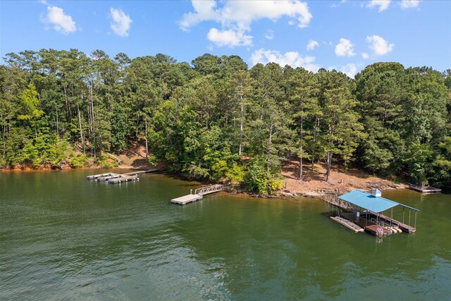 5008 Dianne Dr, Acworth, GA 30102 - photo 62