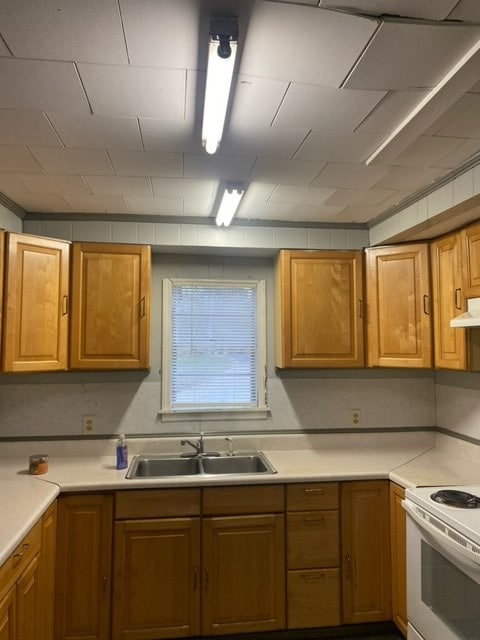 kitchen featuring white electric stove and sink