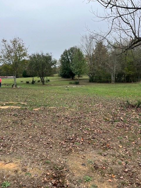 view of yard featuring a rural view