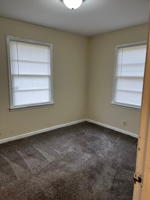 empty room with carpet floors and a wealth of natural light