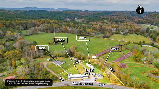 birds eye view of property featuring a mountain view