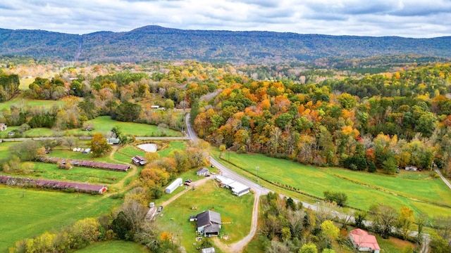 birds eye view of property with a mountain view and a rural view