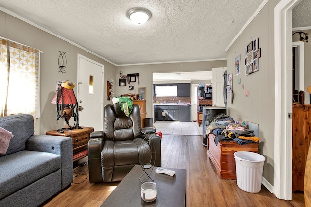 living room with crown molding, sink, and light hardwood / wood-style floors