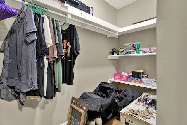 view of spacious closet