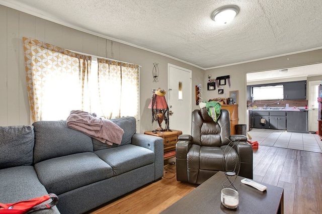 living room with crown molding, plenty of natural light, and light hardwood / wood-style flooring