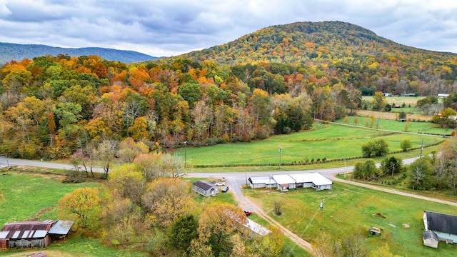 view of mountain feature with a rural view