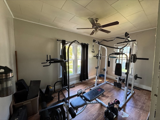 exercise room with wood-type flooring, ceiling fan, and crown molding