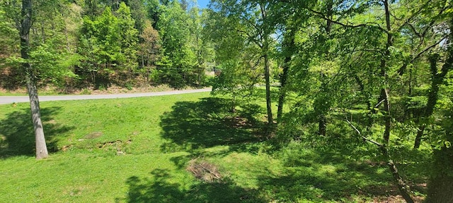 0 Jeanette Dr, Dalton, GA 30271