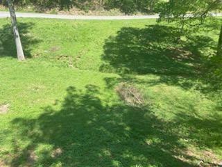 0 Jeanette Dr, Dalton, GA 30271