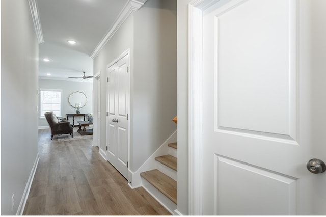 hall featuring crown molding and wood-type flooring