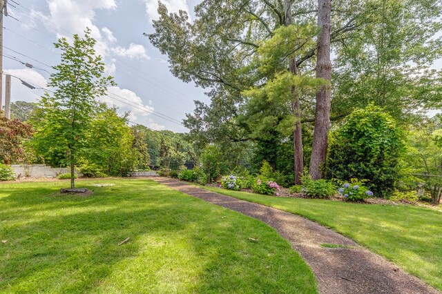 1302 Morton Dr, Dalton, GA 30720 - photo 65