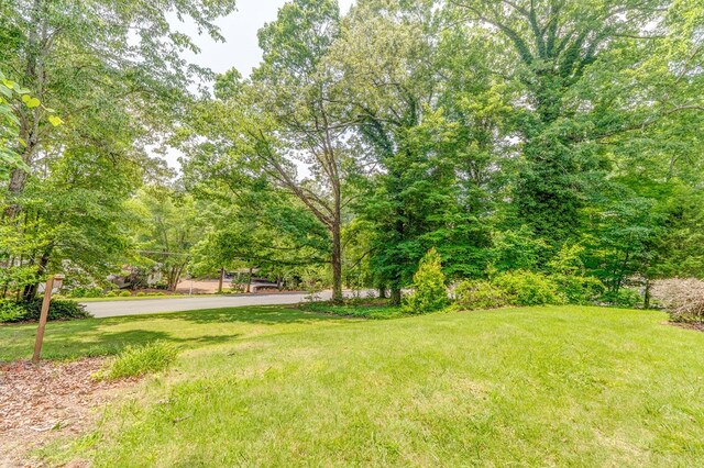 1302 Morton Dr, Dalton, GA 30720 - photo 64