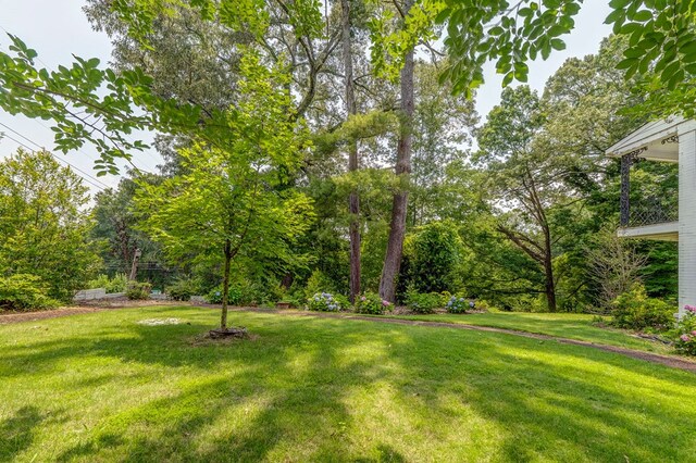 1302 Morton Dr, Dalton, GA 30720 - photo 67