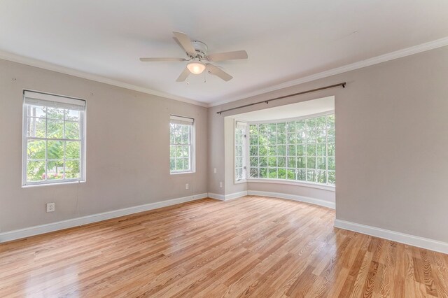 1302 Morton Dr, Dalton, GA 30720 - photo 46