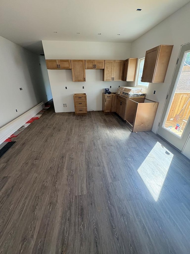 4327 Cronan Dr, Cohutta, GA 30710 - kitchen with dark wood-style floors