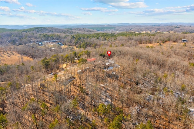 birds eye view of property featuring a mountain view