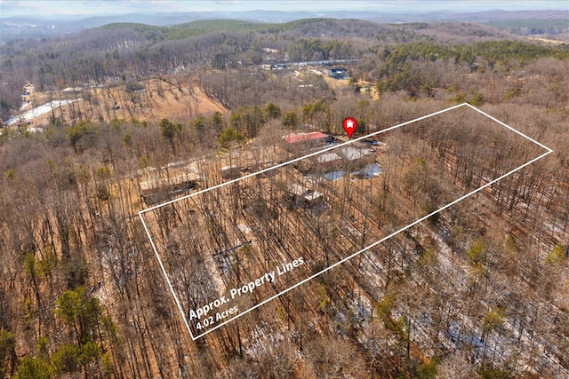 birds eye view of property featuring a mountain view