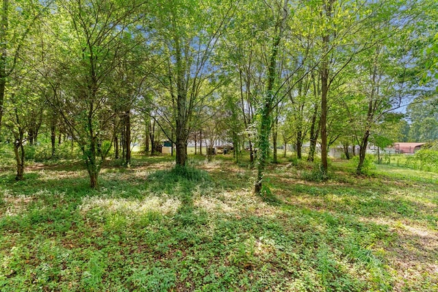 163 Shawn Ln, Chatsworth, GA 30705 - view of yard