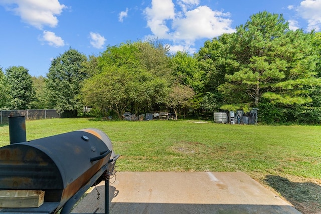 163 Shawn Ln, Chatsworth, GA 30705 - view of yard