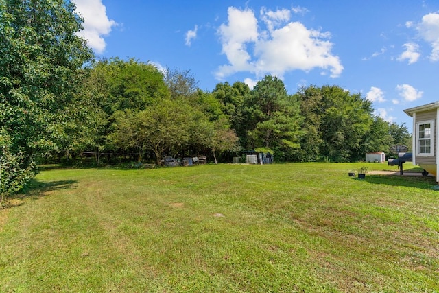 163 Shawn Ln, Chatsworth, GA 30705 - view of green lawn